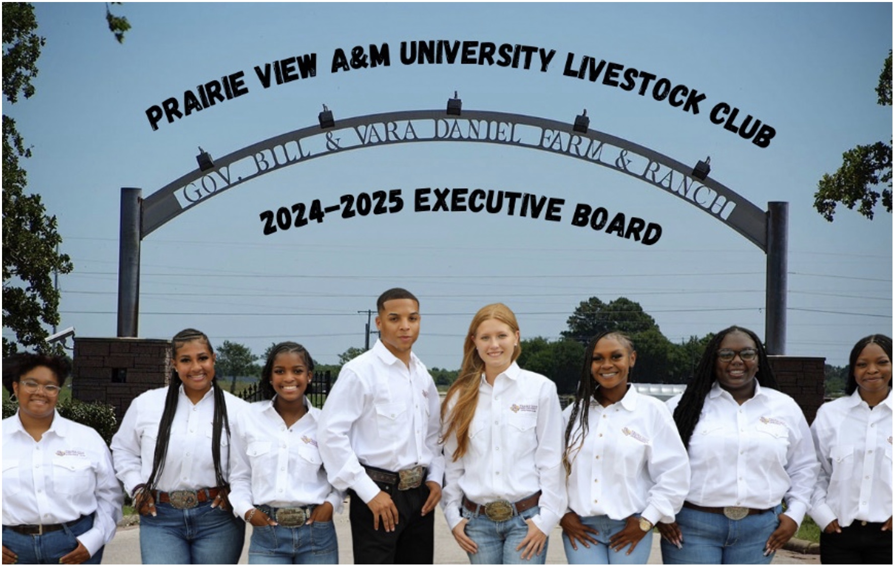 Livestock Club Board